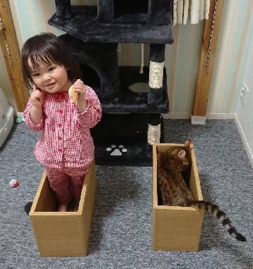 箱入り娘!_d0047569_19293753.jpg