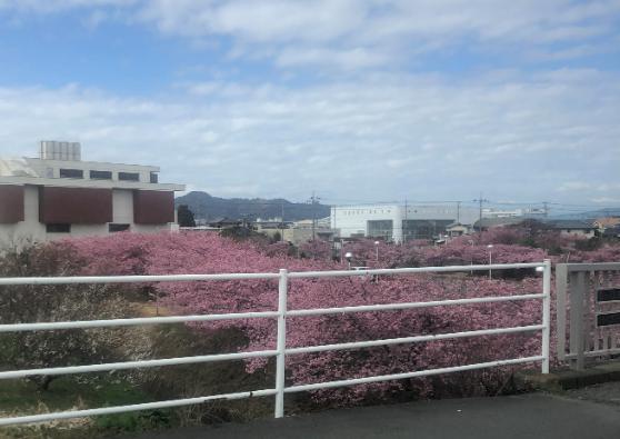 サッシメンテナンス_c0331470_23202138.jpg