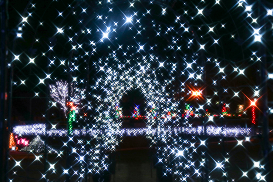 Twinkle Twinkle Little Star_e0088874_235078.jpg