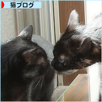 春が来る?_a0389088_17132764.jpg
