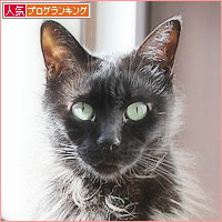 春が来る?_a0389088_17132833.jpg