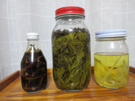 化粧水とか薬用酒とか、作る_a0203003_18423924.jpg