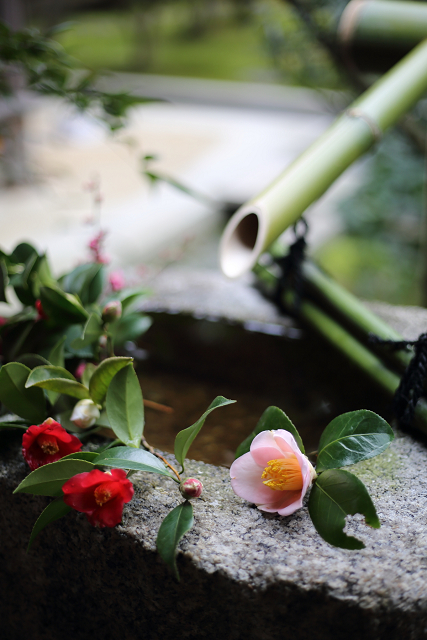 京の冬の旅2020 －大徳寺・興臨院－_b0169330_7225525.jpg