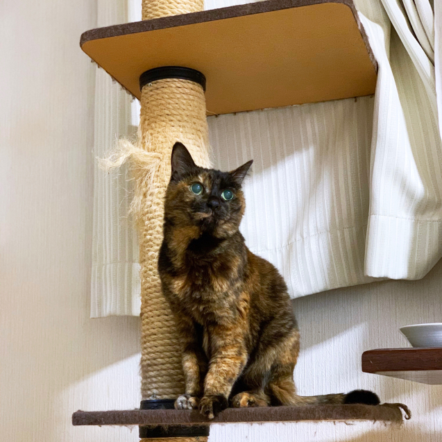 わおわおわお!!!_d0355333_22451387.jpg