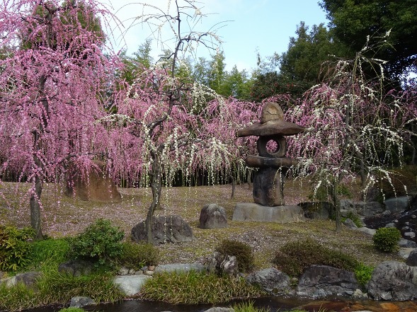 城南宮の枝垂れ梅_b0299042_22022674.jpg