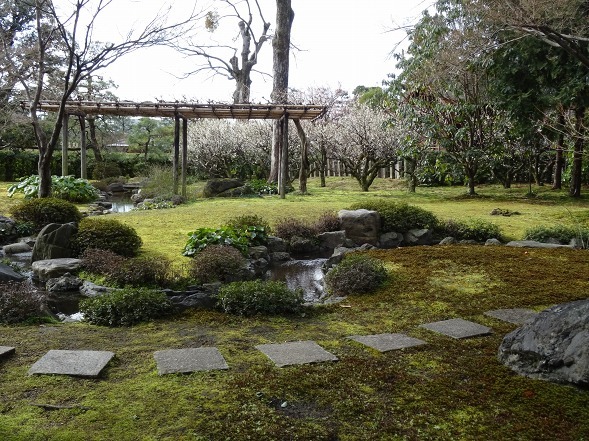 城南宮の枝垂れ梅_b0299042_22114480.jpg
