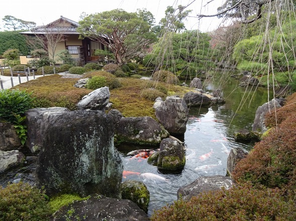 城南宮の枝垂れ梅_b0299042_22115263.jpg