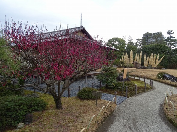 城南宮の枝垂れ梅_b0299042_22120539.jpg