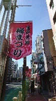 東覚寺さん 亀戸天神さまは梅まつり_d0256145_10554424.jpg
