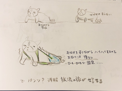 大切なものは愛だと思う歩けない子事情(オムツ、排せつ等)_b0307951_20290040.jpg