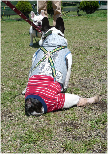 大切なものは愛だと思う歩けない子事情(オムツ、排せつ等)_b0307951_21235459.jpg