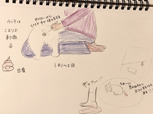 大切なものは愛だと思う歩けない子事情(オムツ、排せつ等)_b0307951_21322955.jpg