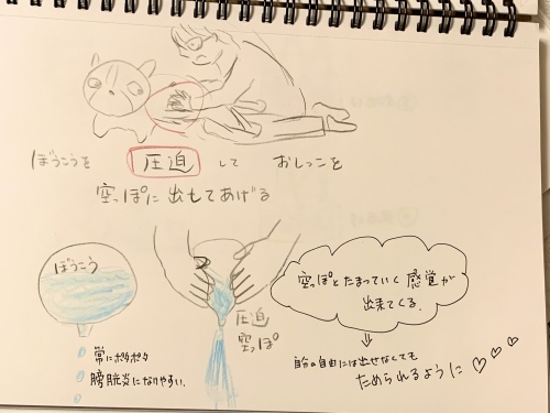 大切なものは愛だと思う歩けない子事情(オムツ、排せつ等)_b0307951_21385411.jpg