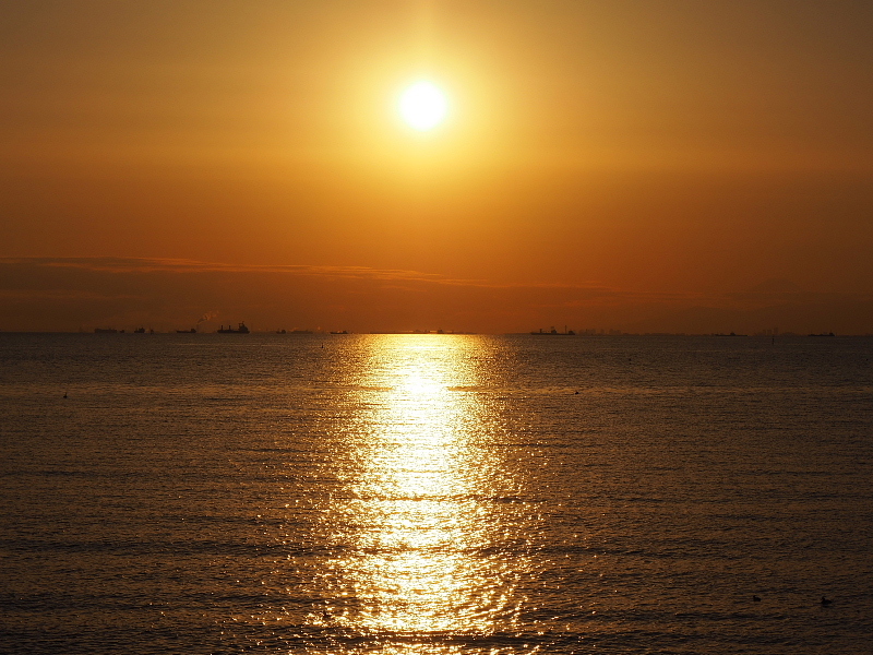 【Photo】早春のいなげの浜 Part Ⅲ ～BAY SUNSET_b0008655_17294501.jpg