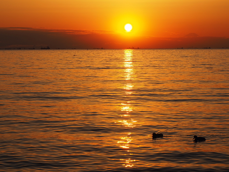 【Photo】早春のいなげの浜 Part Ⅲ ～BAY SUNSET_b0008655_17372728.jpg