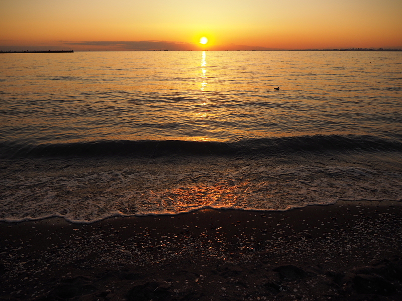 【Photo】早春のいなげの浜 Part Ⅲ ～BAY SUNSET_b0008655_17384725.jpg