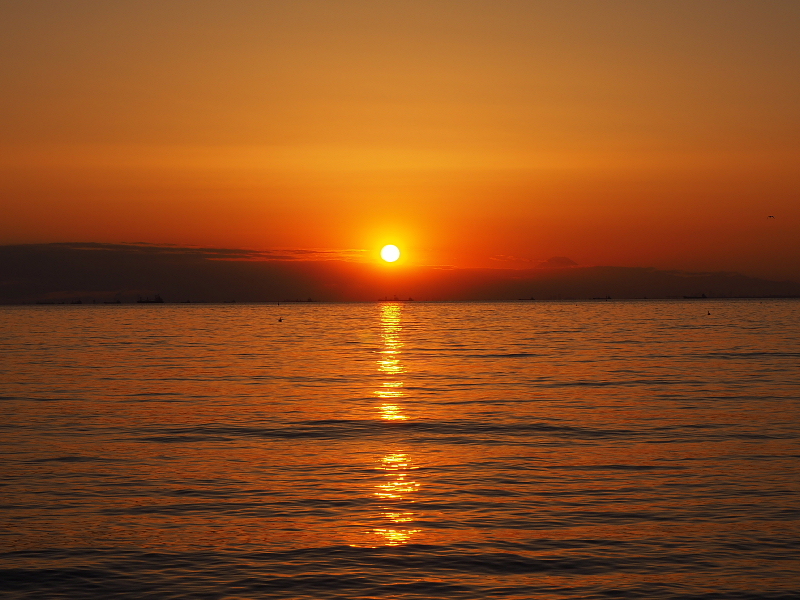 【Photo】早春のいなげの浜 Part Ⅲ ～BAY SUNSET_b0008655_17392508.jpg