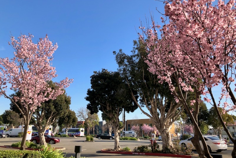 忘れた頃にputnam 数学コンテスト の結果報告が Carpe Diem