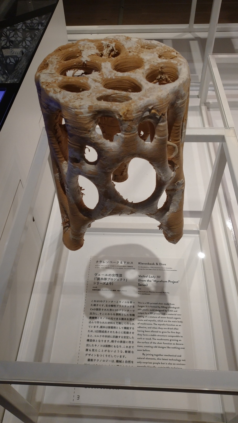 未来と芸術展 森美 世を創る意図と技術の刺激のテーマパークの光翳 鴎庵