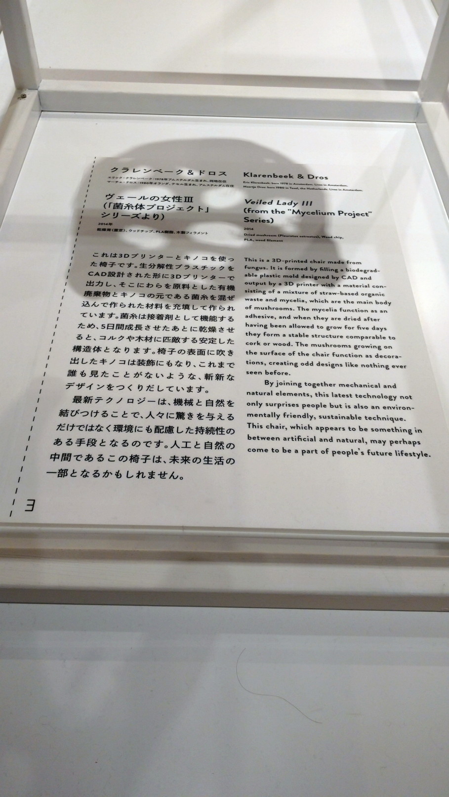 未来と芸術展 森美 世を創る意図と技術の刺激のテーマパークの光翳 鴎庵