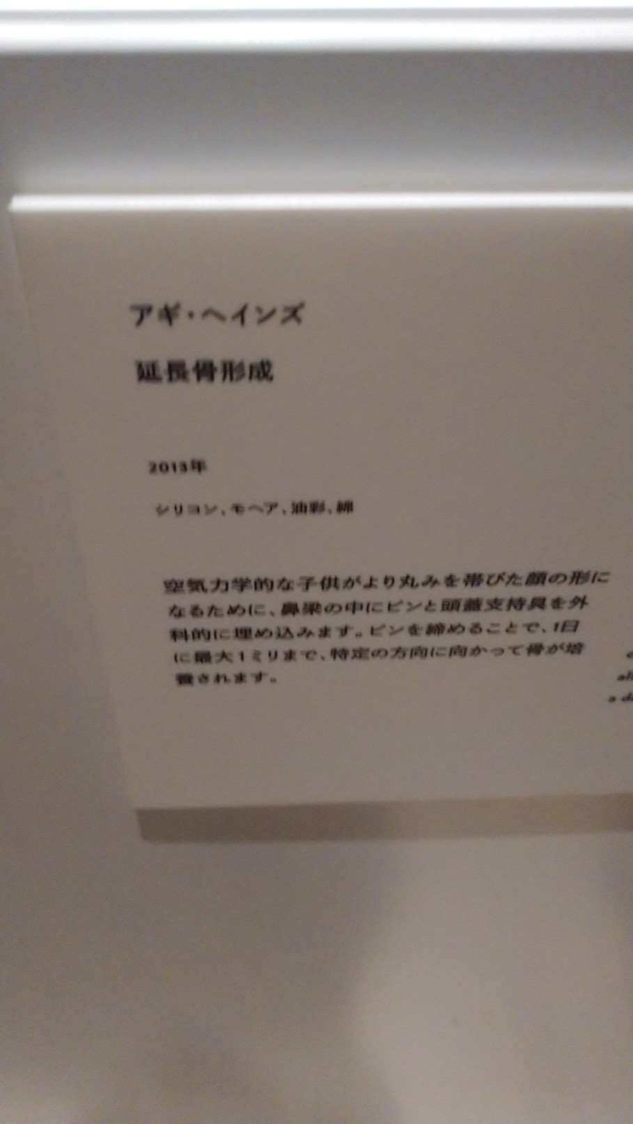 未来と芸術展@森美　世を創る意図と技術の刺激のテーマパークの光翳_c0002171_18434172.jpg