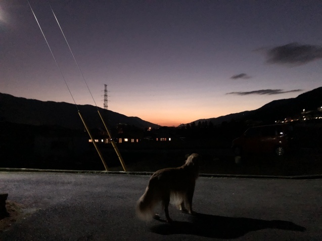 明日への復活_a0394574_22210047.jpeg