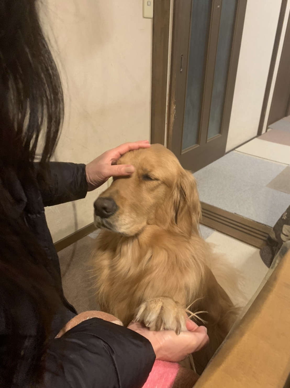 明日への復活_a0394574_22230363.jpeg