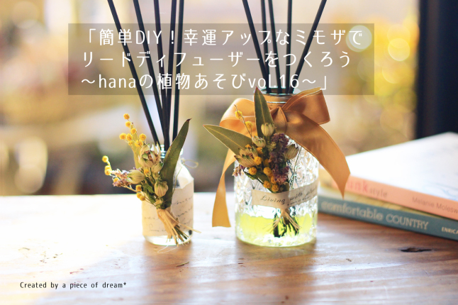 簡単diy 幸運アップなミモザでリードディフューザーをつくろう Hanaの植物あそびvol 16 A Piece Of Dream 植物とdiyと 簡単diy 幸運アップなミモザでリードディフューザーをつくろう Hanaの植物あそびvol 16 A Piece Of Dream 植物とdiyと