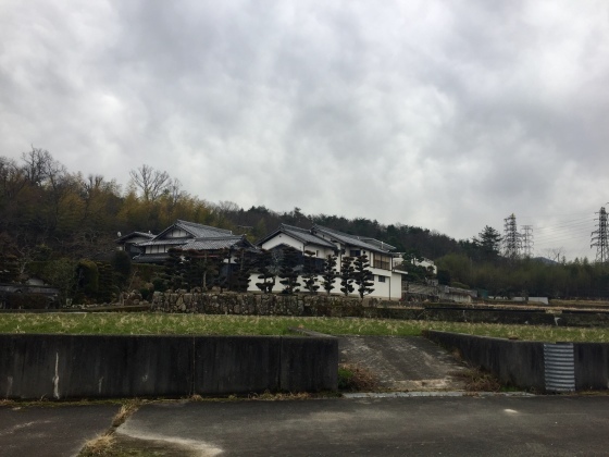 剛麺好きと剛麺嫌い_a0258686_07013026.jpeg
