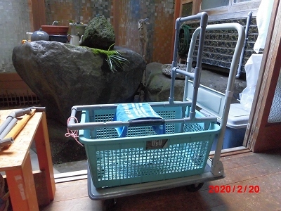 獅子丸の日々_b0231886_19491945.jpg
