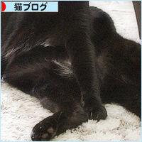 中のおっさん_a0389088_17445952.jpg