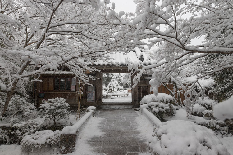 宝泉院_e0051888_05522982.jpg