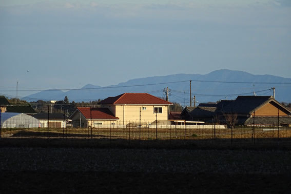 三寒四温（さんかんしおん）_b0145296_14041830.jpg