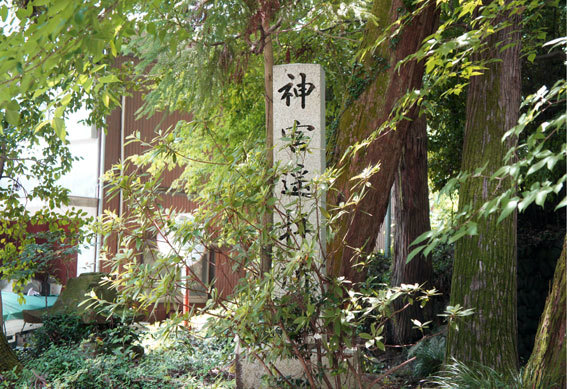 三寒四温（さんかんしおん）_b0145296_14042500.jpg