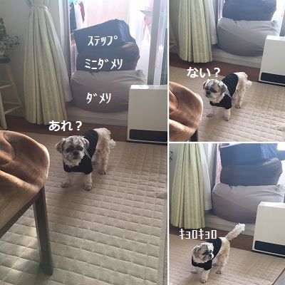 作ったブレスレットと読んだ本。_f0372998_19161497.jpg