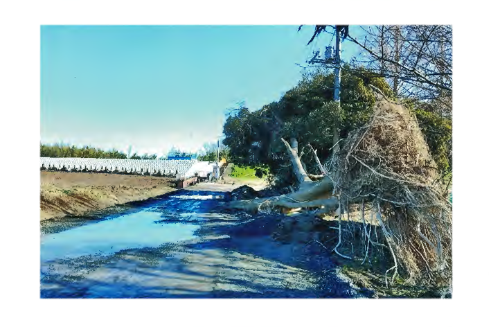 小剣神社_d0361999_09291898.png