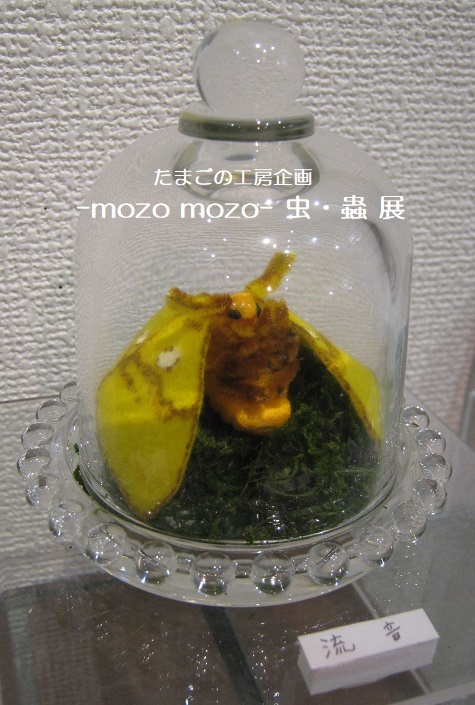 たまごの工房企画 -mozo mozo- 虫・蟲 展 その10_e0134502_18130518.jpg