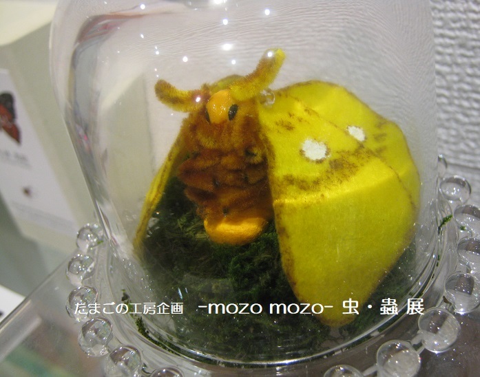 たまごの工房企画 -mozo mozo- 虫・蟲 展 その10_e0134502_18131086.jpg