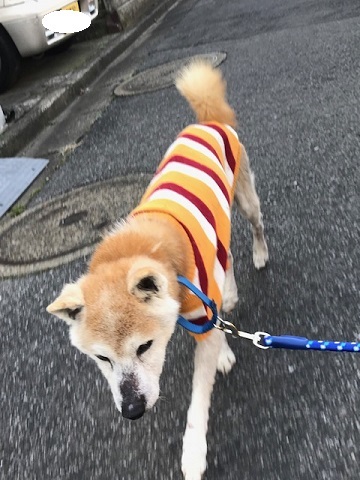 暖かかったので_f0242002_19064754.jpg