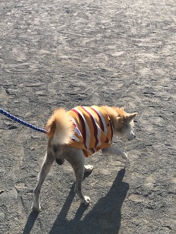 暖かかったので_f0242002_19070209.jpg