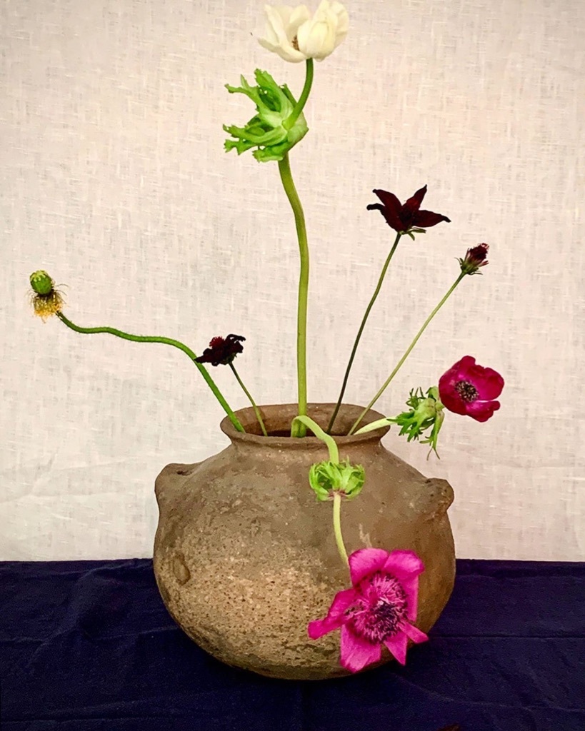 花も其々のペースで。。。_e0243332_16170186.jpg