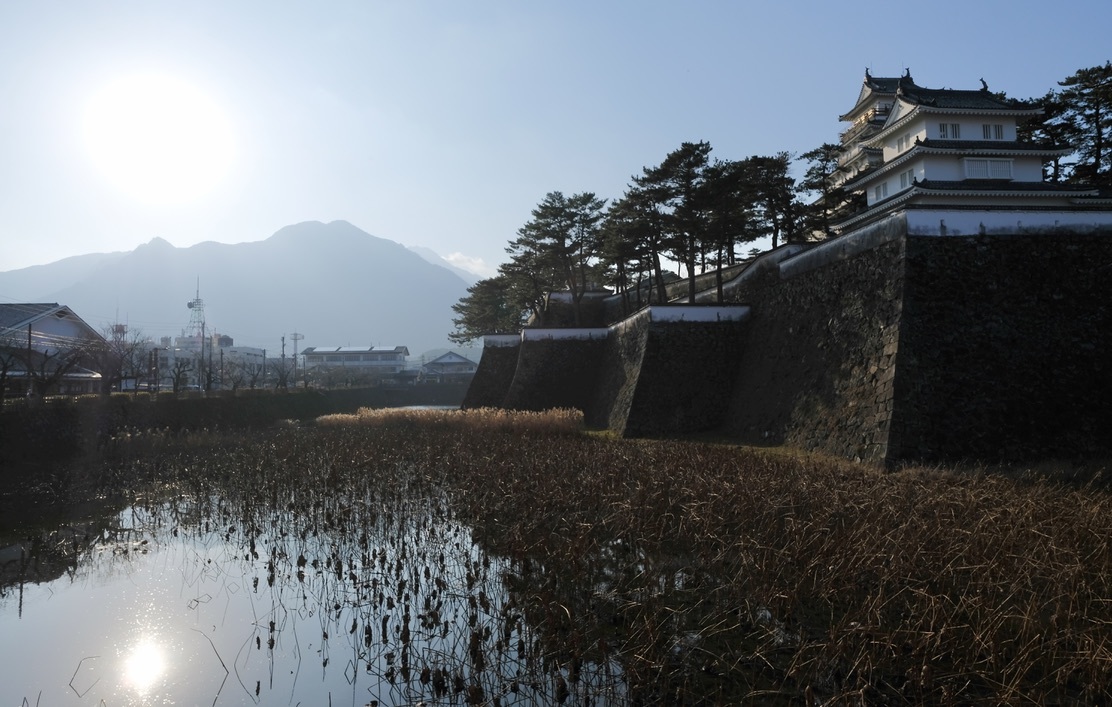 枯蓮_f0315034_14020197.jpeg