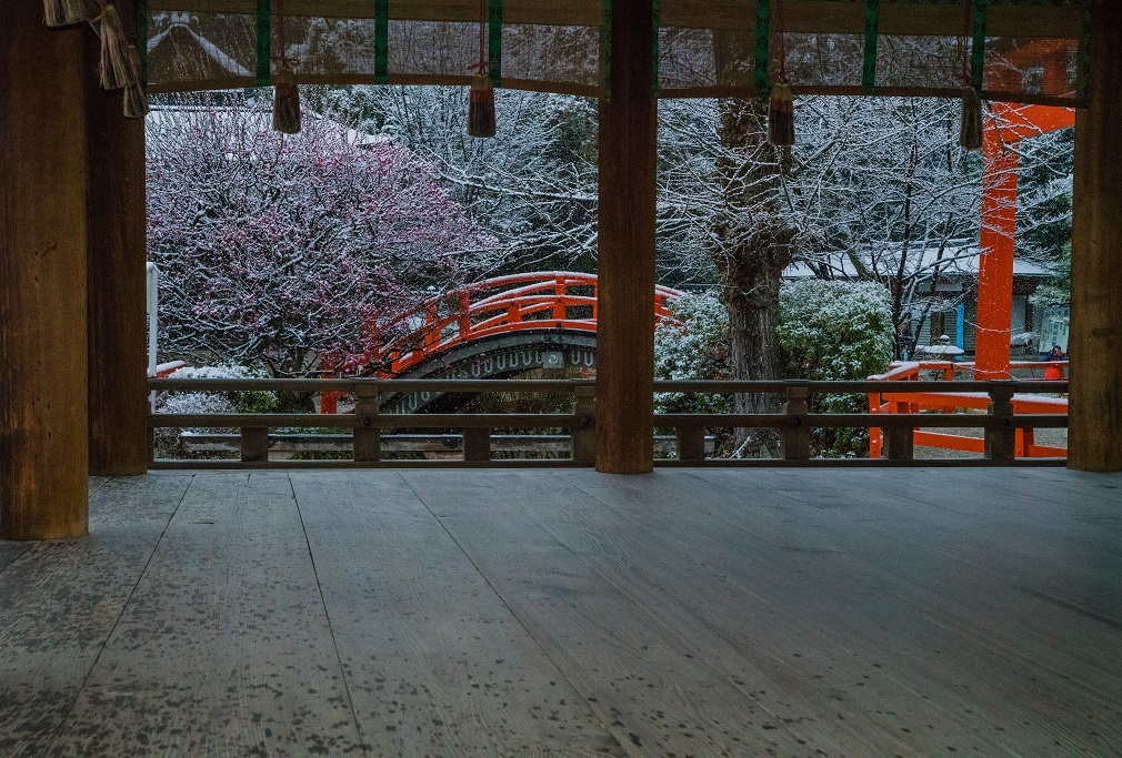 下鴨神社の雪景色_e0363038_21043749.jpg