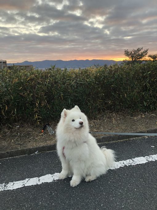 2020年1月前半 インスタ写真集_f0128542_01525717.jpg