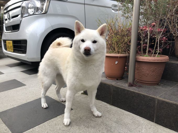 2020年1月前半 インスタ写真集_f0128542_01571208.jpg