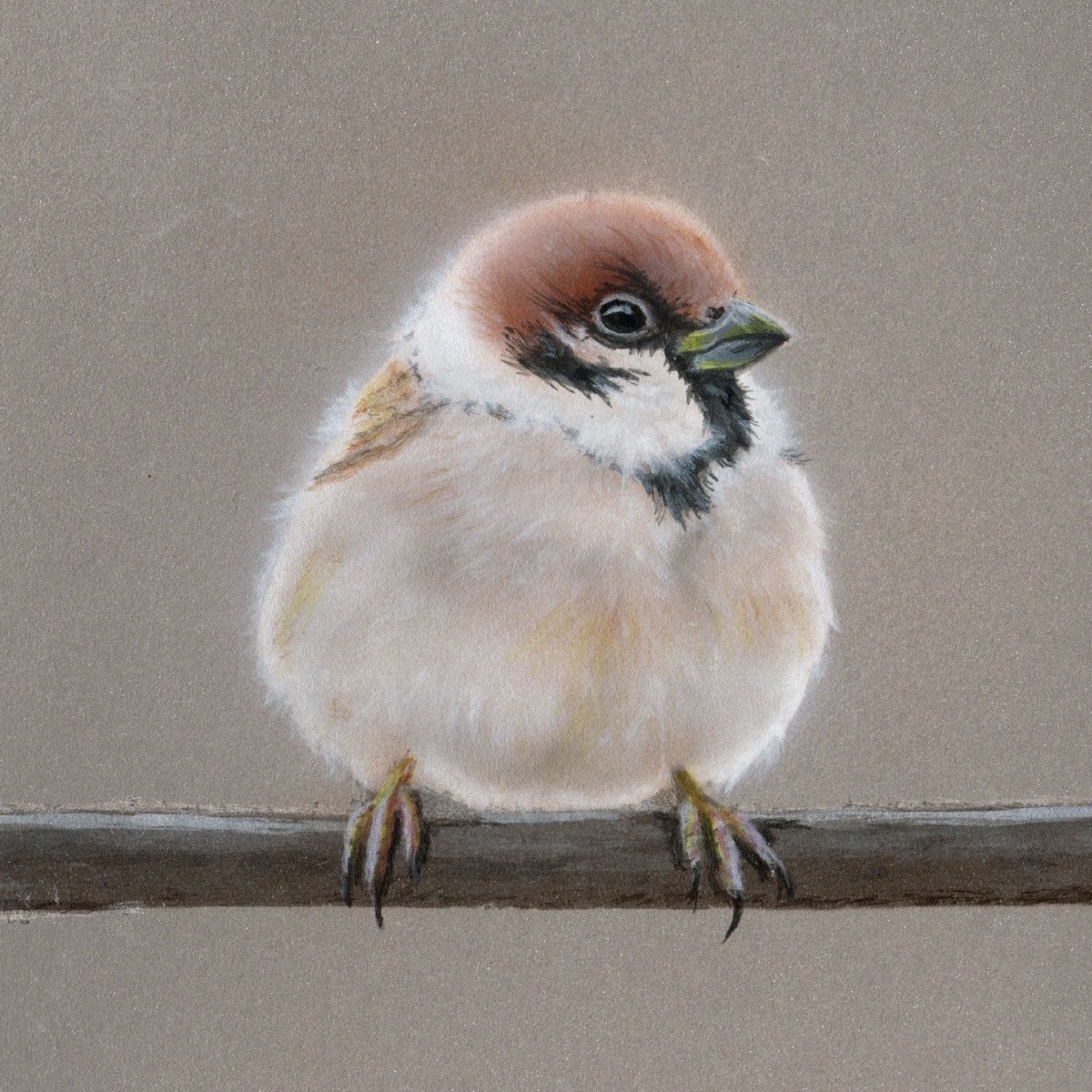 鳥 アクリル画 絵 動物 - 美術品