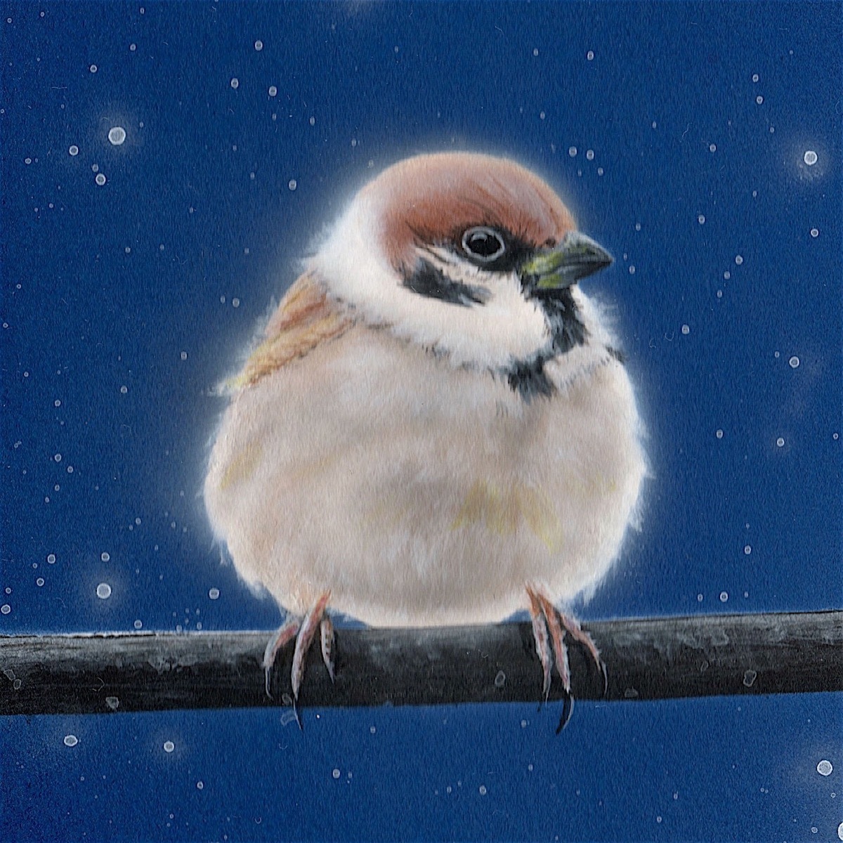 毎日一絵チャレンジ】#アクリル画 #おまん獣「スズメ ver.1.2 毎日一絵チャレンジ】#アクリル画 #おまん獣「スズメ ver.1.2
