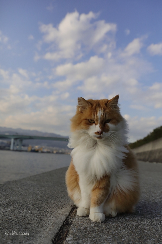 生きる_c0049767_10241297.jpg