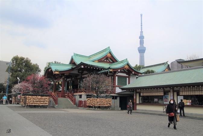 静かな亀戸天神_a0157968_15581475.jpg