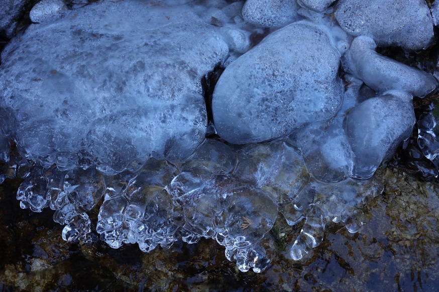 冬景色に気持ち高ぶる_e0304170_18500472.jpg